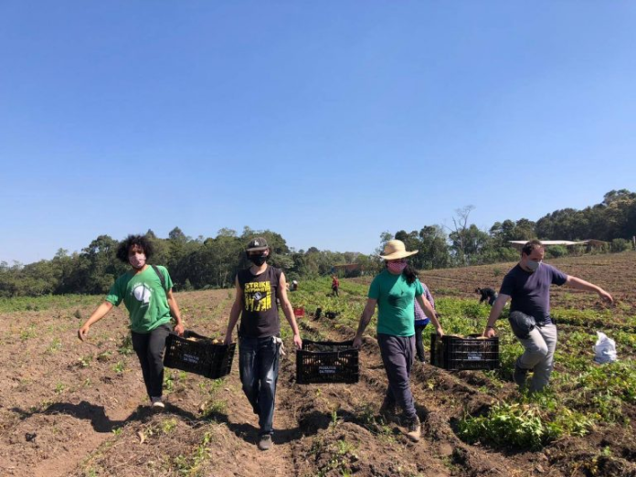 Deputados aprovaram socorro a pequenos agricultores durante pandemia