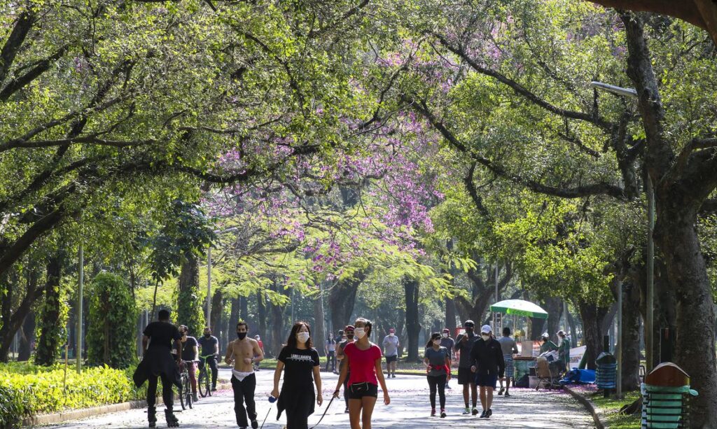 covid ibirapuera