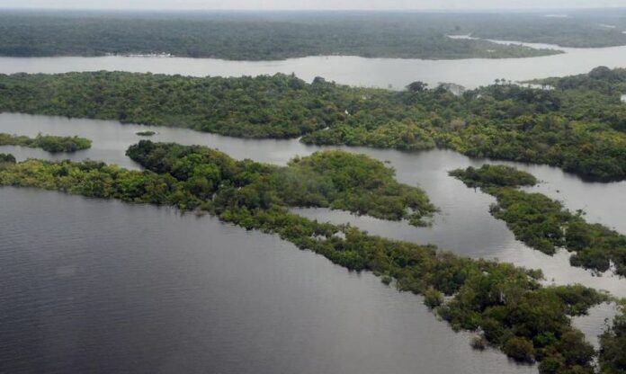 amazonia