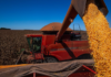 Brasil deve ter safra recorde de grãos, prevê o IBGE