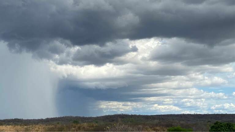 Chove em cerca de 30 municípios do Ceará.