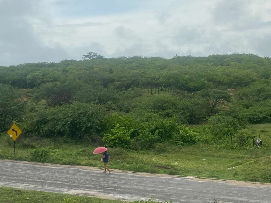 Fim de janeiro apresenta condições para chuvas isoladas