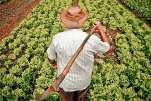 Extensão Rural e Projetos Produtivos Rurais