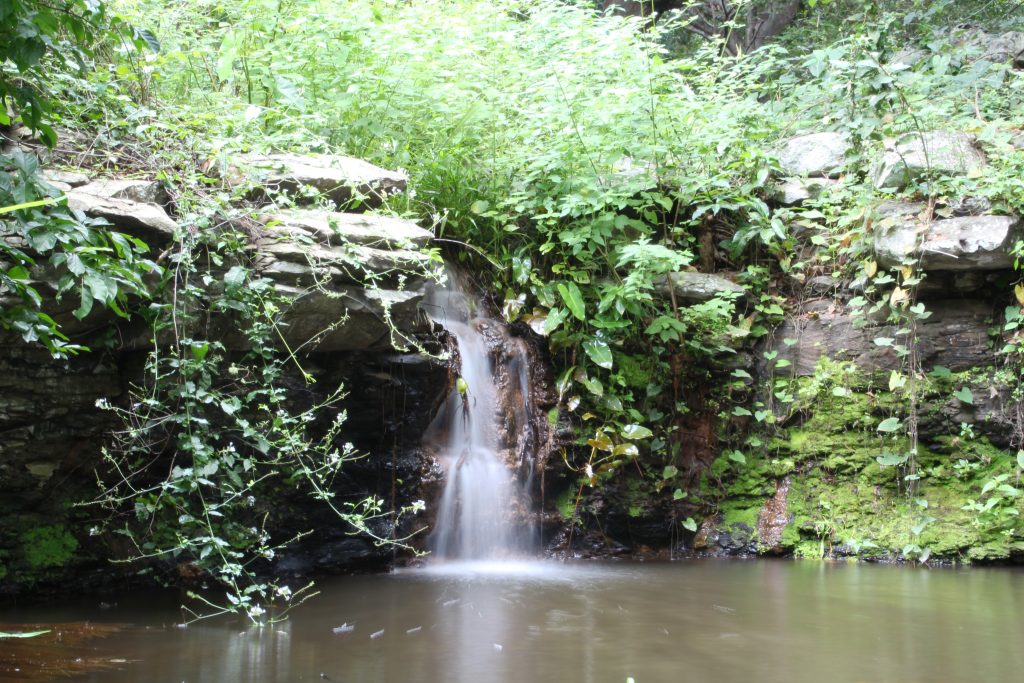 Reserva Natural Serra das Almas, está localizada entre Crateús (CE) e Buriti dos Montes (PI) - Foto:Divulgação.