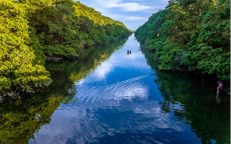 Parque do Cocó em Fortaleza - Foto: Semace/divulgação.