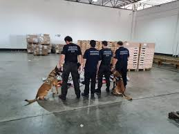 A droga estava escondida em um fundo falso de uma mala de viagem - Foto:Divulgação/PF