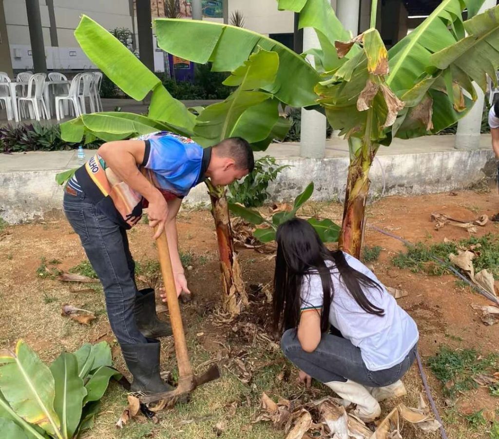 A Escola Família Agrícola alterna sala de aula e campo - Foto: Reprodução Instagram.