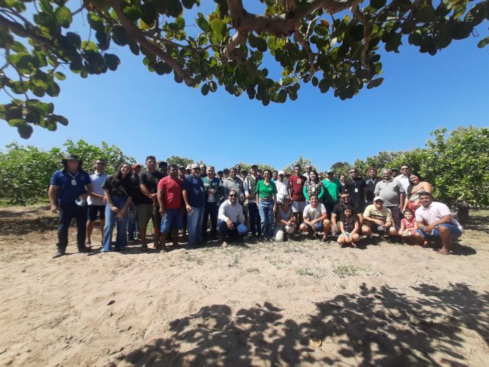 Sistema Faec/Senar promove Dia de Campo da Fruticultura em Cascavel