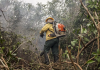 Deve ser mobilizado todo o contingente cabível de vários órgãos - Foto: Marcelo Camargo/Agência Brasil.