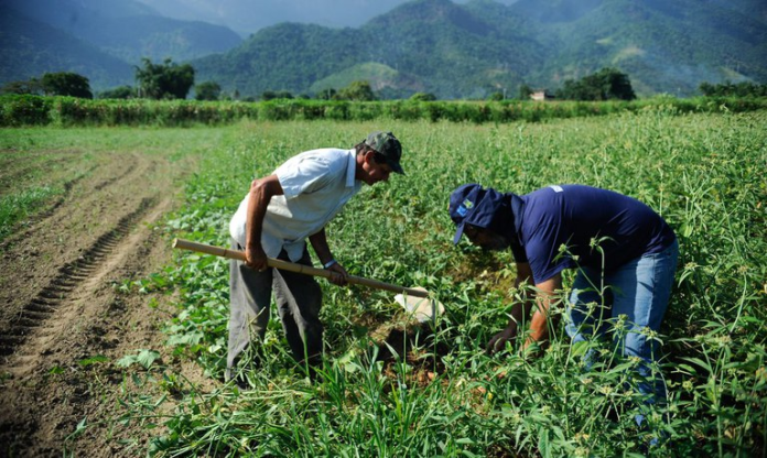 No Ceará, agricultores familiares foram contemplados com cerca de R$ 620 milhões em recursos no 1º semestre deste ano - Foto: Tomaz Silva/Agência Brasil.