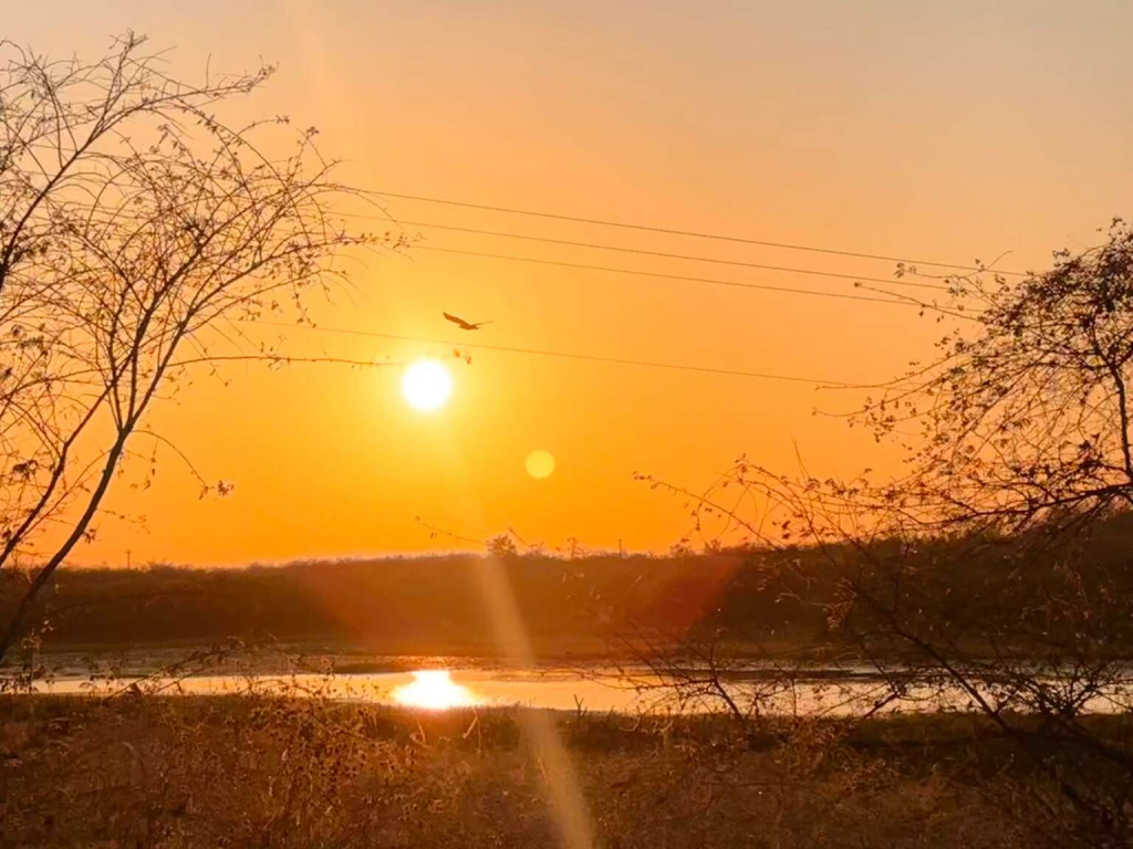 Interior do Ceará segue com baixas taxas de umidade - Imagem: Marciel Bezerra.