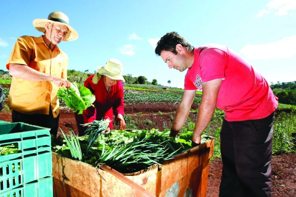 Também houve crescimento nos valores contratados para o Pronaf Mulher, com R$ 323 milhões aplicados no mesmo período - Imagem: Reprodução.