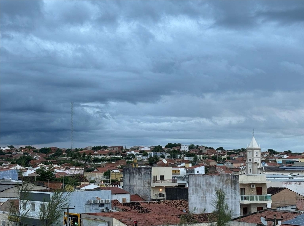 A menor precipitação pluviométrica foi em Jati (21mm), cidade localizada na região do Cariri. FOTO: Marciel Bezerra)