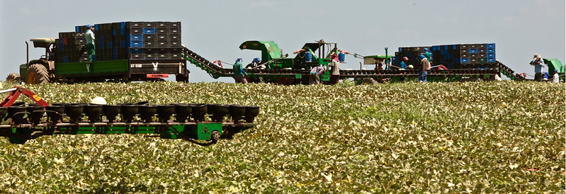 O diretor Luiz Abel afirma que o fortalecimento da infraestrutura de armazenamento é fundamental para garantir o equilíbrio do mercado e aumentar a competitividade do agronegócio - Foto: Tibico Brasil.