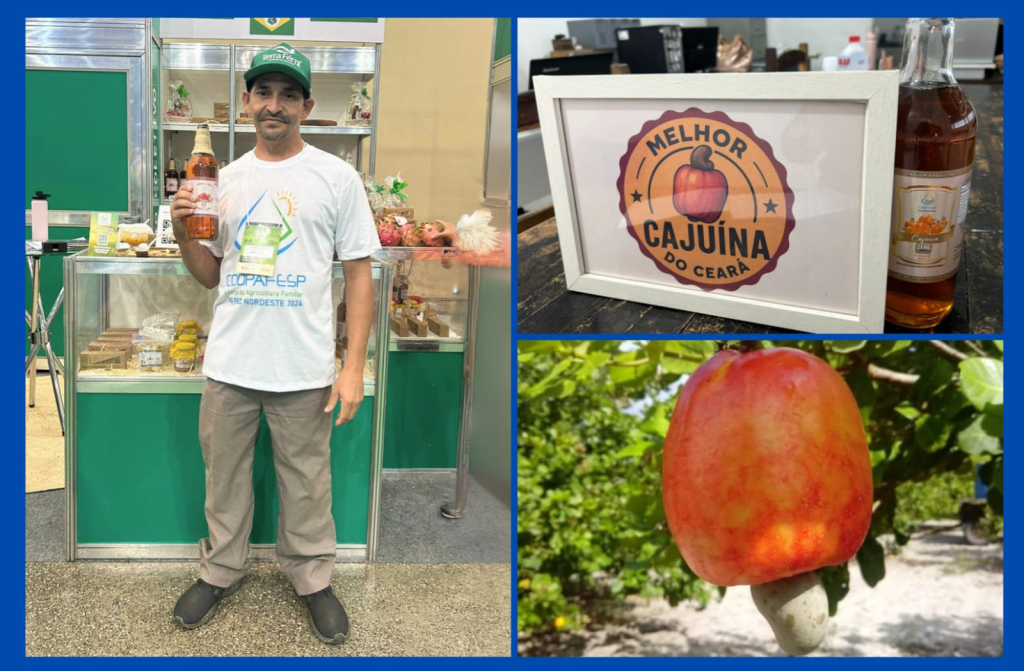 Agricultor Gleison produz cerca de 30 mil litros de cajuína por ano - Foto/Montagem: Morena Brandão