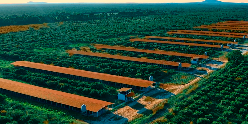 Com as marcas Tijuca Alimentos e Granjas São José, grupo levará inovação, sabor e conexões ao maior evento agropecuário do Nordeste