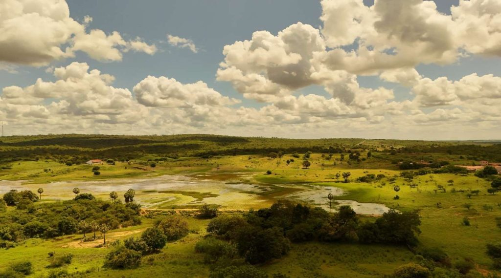 O estado passou de 54,92% em abril para 75,5% do seu território com algum nível de seca relativa em maio - Foto: Marciel Bezerra.