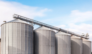 Setor agroindustrial está entre os beneficiados pelos incentivos fiscais da Sudene aprovados pela diretoria colegiada. Foto Ilustrativa: Depositphotos.