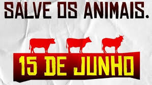 Fórum Nacional de Proteção e Defesa Animal e mais de cem organizações participam da campanha #NãoExporteVidas, pelo fim do tráfico de cargas vivas