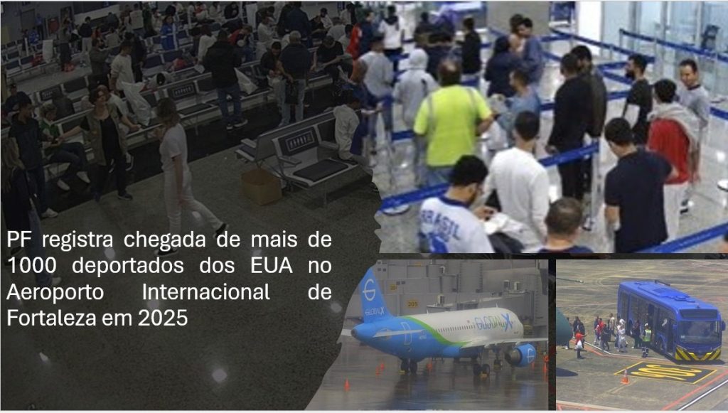 O registro foi entre fevereiro e julho de 2025 - Foto: Divulgação/PF.