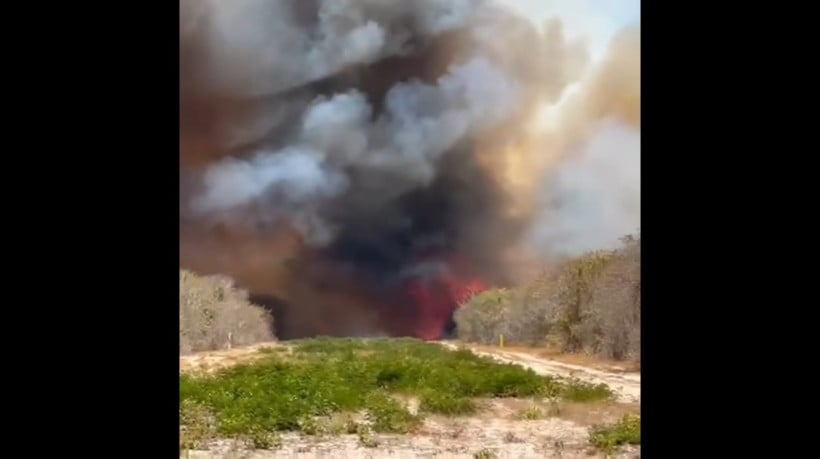 Imagem mostra a intensidade do incêndio - Foto: Reprodução / Instagram Deputado Guilherme Bismarck