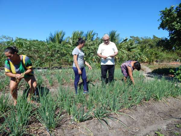 Extensionista orientando agricultoras - Foto: Reprodução/Ematerce.