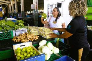 Os entrepostos funcionam em Maracanaú, Tiaguá e Barbalha- Fotos: Epitácio Moura.