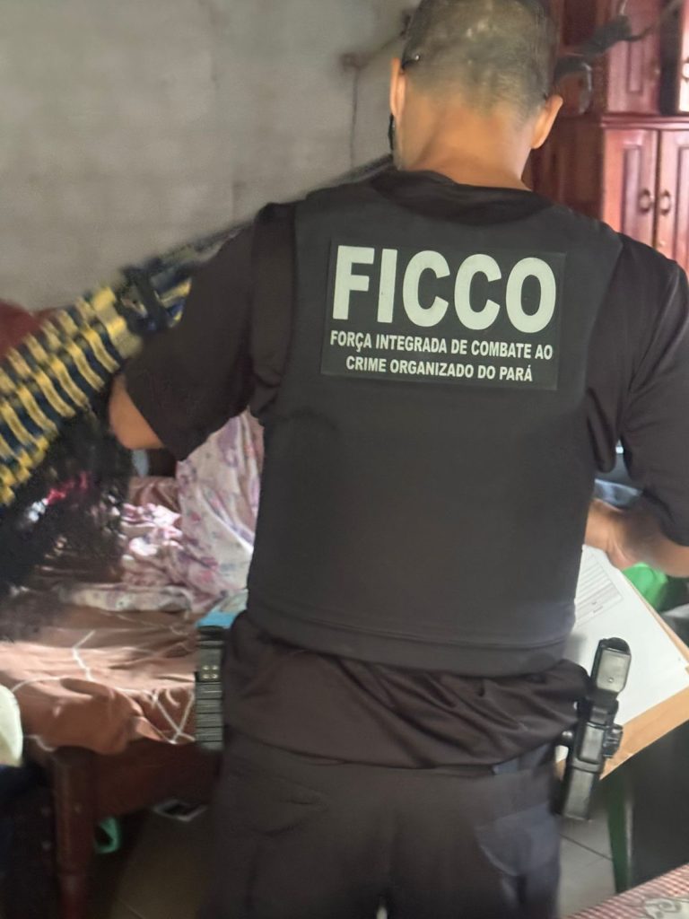 Estão sendo cumpridas 7 mandados de busca e apreensão- Foto: Reprodução/F