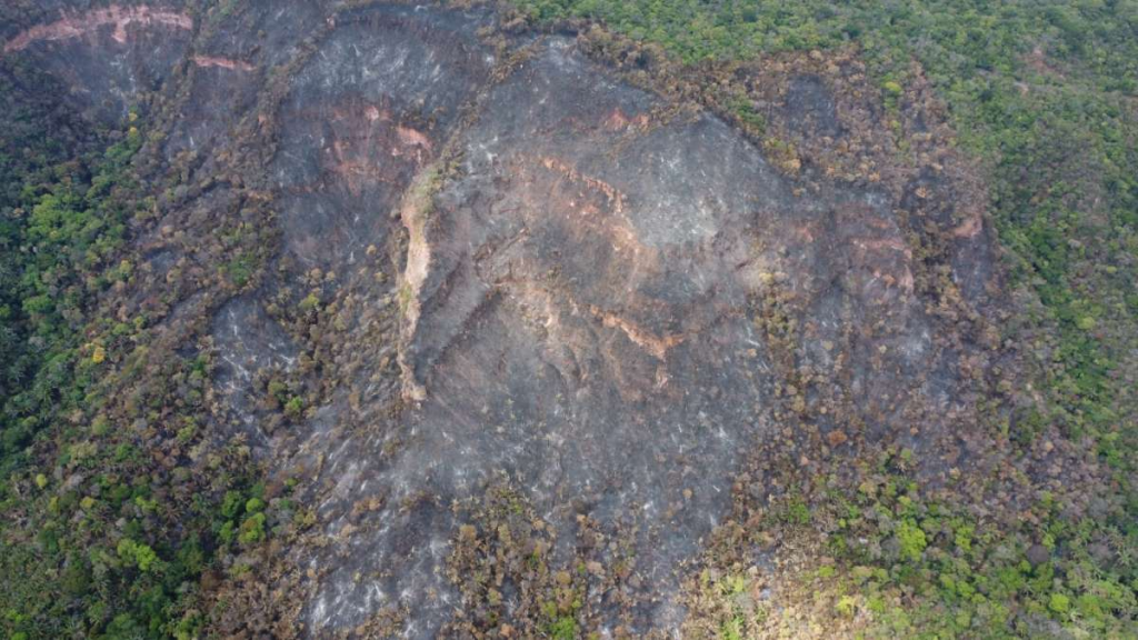 No cenário nacional, o Ceará ocupou a terceira posição no ranking de estados com maior número de focos de calor no período - Foto: Soldado Fernandes/Bombeiros.