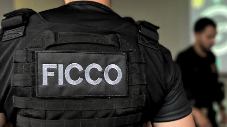 Foto: Ilustração/PF