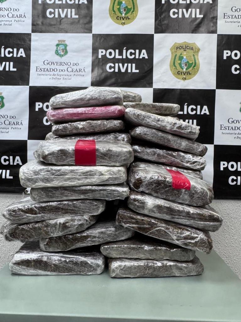 A ofensiva foi realizada por equipes da 16ª Delegacia de Fortaleza- Foto: Reprodução.