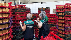 Foto: Reprodução.