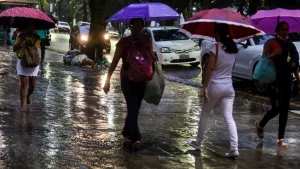 Foto : Agência Pará
