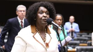 Benedita da Silva: o projeto assegura a implementação do programa na forma como foi concebido - Vinicius Loures/Câmara dos Deputados.