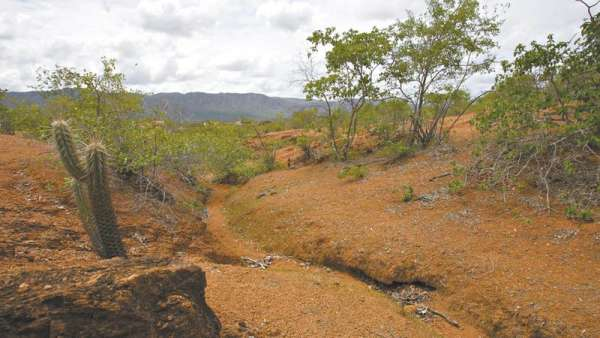 Foto: Diário do Nordeste