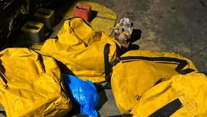 A draga estava oculta na estrutura de navio mercante com destino à Europa - Fotos: Divulgação/PF