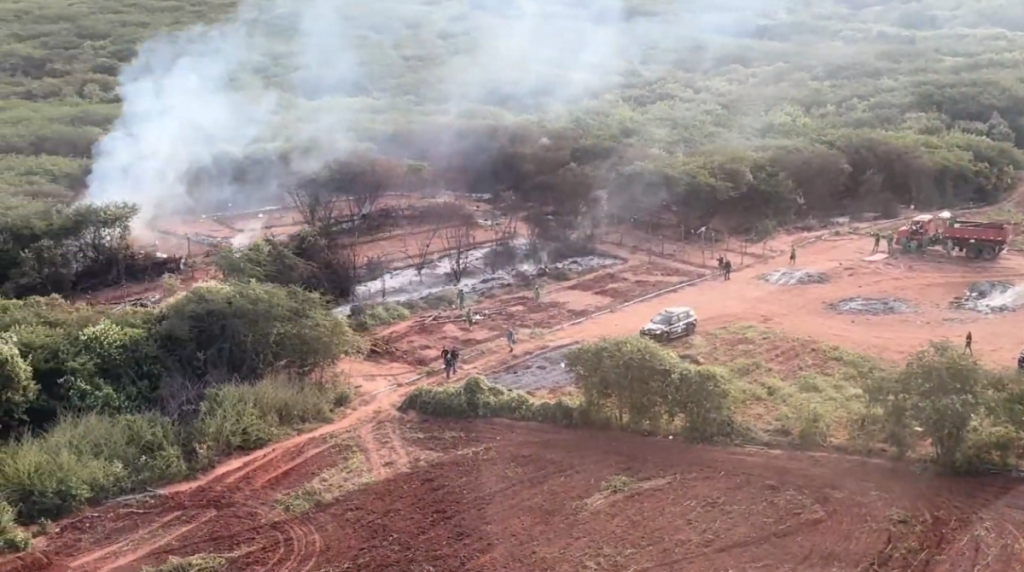 Ação reúne forças de segurança para destruir a plantação localizada em Aracoiaba. Foto: Rosane Gurgel - Casa Civil