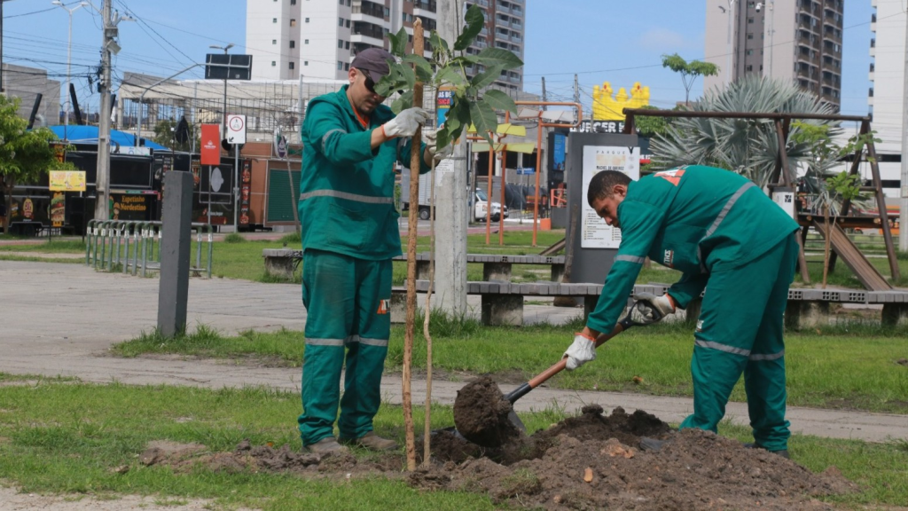 Projeto da UrbFor já implantou mais de 9,3 mil mudas nas 12 Regionais e mantém média de 100 plantios por dia - Foto: Kiko Silva