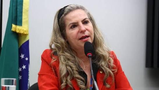 Deputada federal Luizianne Lins- Foto: Vinicius Loures/Câmara dos Deputados