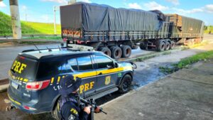 A fiscalização identificou divergências entre a carga e as Guias Florestais apresentadas - Fotos: Divulgação/PRF